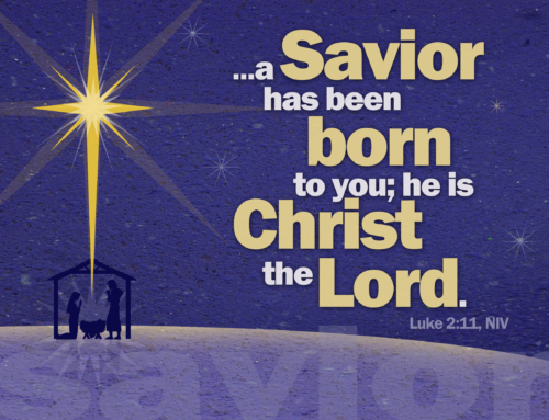 When was Jesus Born?